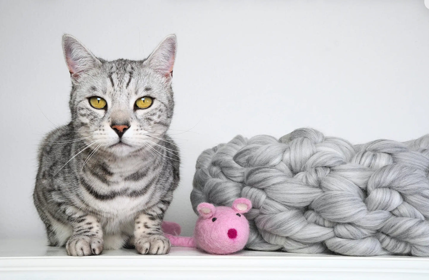 A gray tabby cat with yellow eyes sits on a white surface next to a chunky gray knit blanket and a small pink plush toy against a plain white background.