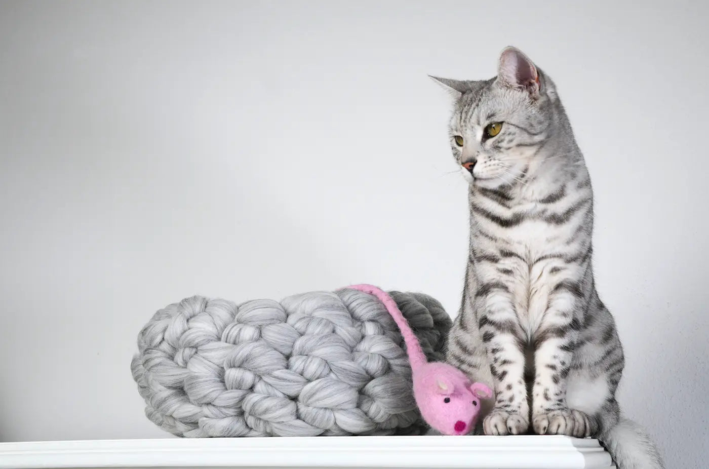 A silver tabby cat sits on a white ledge next to a chunky gray knit cushion and a pink toy mouse, against a plain light gray background.
