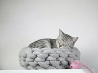 Cotton Cat Bed