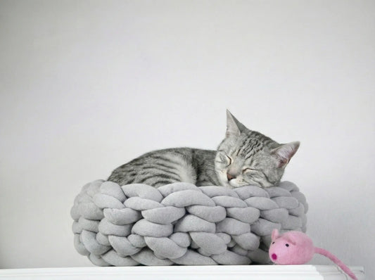 A gray tabby cat sleeping comfortably inside a chunky, braided light gray pet bed, with a small pink toy mouse nearby on a white surface against a plain light gray background.